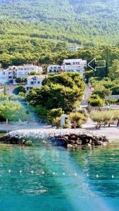 Apartments and Room Marin