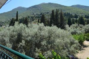 Odysseia Studios and Apartment