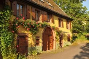 自然色彩装饰加早餐旅馆 - Thanvillé