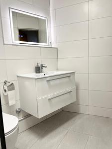 Düsseldorf Messe and Airport, 2-bedroom duplex Apartment with Kitchen and Garden