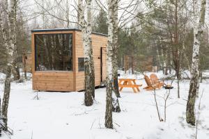 УЛІС Кебіни