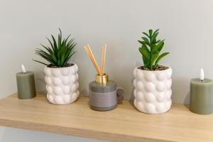 Le Cosy Vert - Proche du Cher