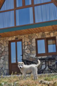 Village house Gutovic