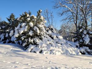FeWo Harzer Bergwind Sankt Andreasberg, 1 Hund bis 30Kg willkommen, große eingezäunte Terrasse mit Gasgrill