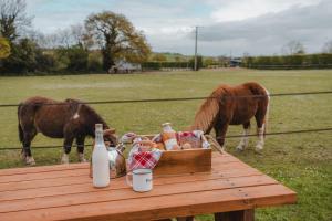 Parcel Tiny House I Pommiers