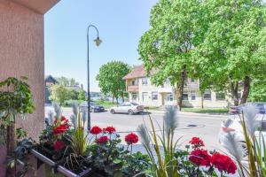 2 kambarių apartamentai su virtuve, Trakų miesto centre