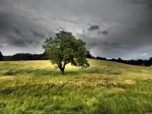 Ferienwohnung Gruberhof