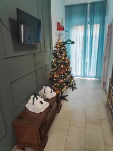 Bologna Travel Suite