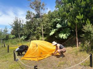 Muelle del Tiempo Camping