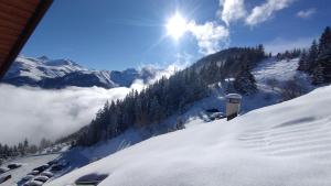 Studio 4 personnes pied des pistes