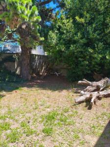 Casita Americana para 4 personas