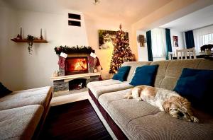 Vila David 2 Comarnic