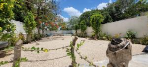 Pakáal Muliix - Limóm