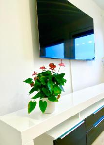 Traumhaftes Apartment mit Dachterrasse und Schlossblick