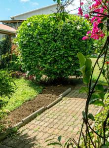 Hostal y Cabañas Aorangi