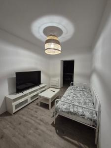 # Le 15 # Beau T3 lumineux et confortable