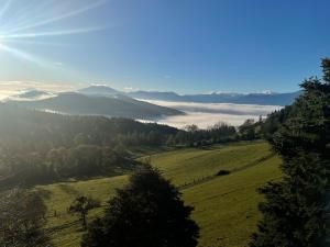 Ferienwohnung im Grünen