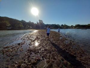Casa de Praia e Sossego
