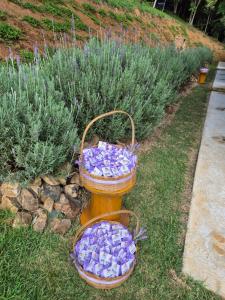 Cabana refúgio da juruti 08