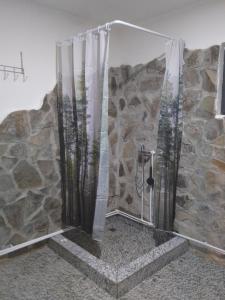 Cabana La Dragos Si Carmen Pe Coclauri