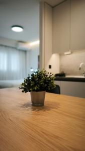 Anny Luxe Suite 1 - Central Xanthi