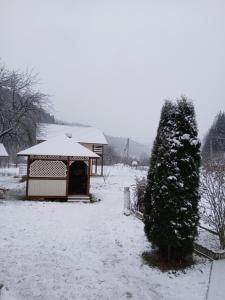 На Грушівці