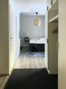 Kodikas yksiö, Salmela Free Wifi