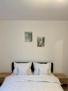 Luna Music Apartment