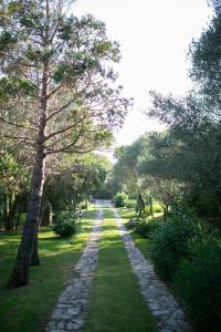 Costa Smeralda - Private Villa with pool, beautiful garden, total privacy