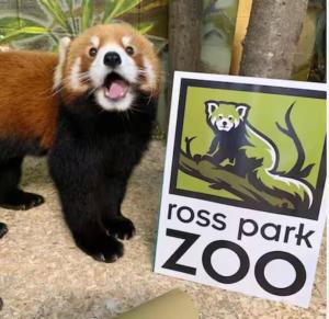 NightShiftReady Binghamton Trades Nurses Welcome Private Room in Shared Apartment