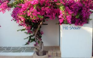 Polikandia Hotel Folegandros Greece