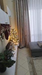 The Guest Apartment 2025