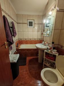 Apartament cartier Brazda