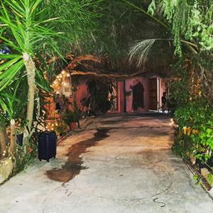 -Giardino- Vakantiehuis tussen de olijvenbomen