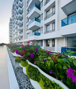 Samaria Club de Playa - Apartamento frente al mar