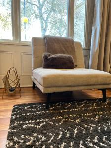 Spacious Apartment walk to Hyde Park & Notting Hill