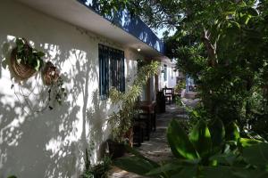 Studios Yaxkin, located in downtown