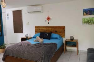 Comfy studio Yaxkin on downtown, 3 block away from sea and sunsets