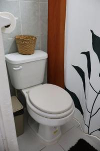 Comfy studio Yaxkin on downtown, 3 block away from sea and sunsets