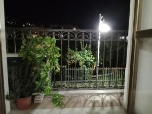 Mamma Elisa appartment