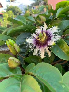 Pousada Reserva de Itaúna