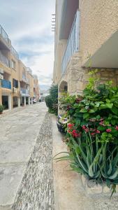 Harbour Haven 2 BR Gem steps fm sand and shops