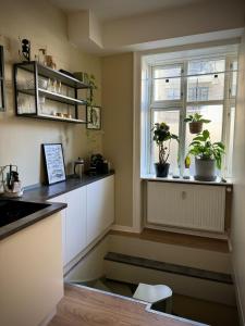 modern and quality apartment