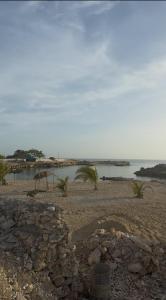 The Pearl at Paradisiac