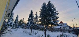 Apartament w Sercu Gór z ogrodem