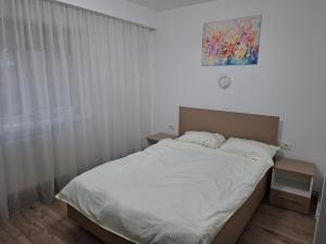 Targu Jiu Central Apartment - Free Parking & Self Check-In