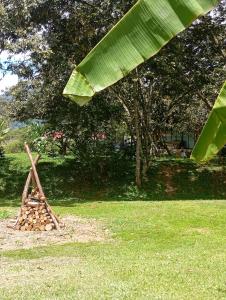 Cabaña en alquiler - oxapampa