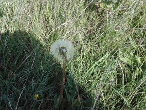 7 person holiday home in Bredebro-By Traum