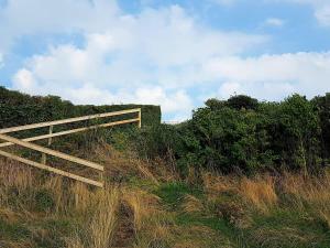 8 person holiday home in Ølsted-By Traum