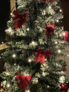 Mamma Mia Hotel Boutique - Only Adults